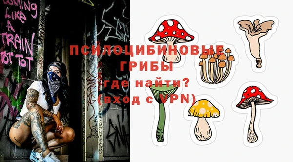 марки lsd Белокуриха