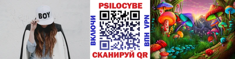 купить закладку  Макаров  Галлюциногенные грибы MAGIC MUSHROOMS 